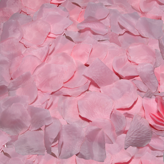 100 Petalos Color Rosa